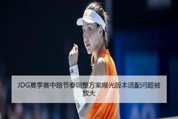 JDG夏季赛中路节奏调整方案曝光版本适配问题被放大